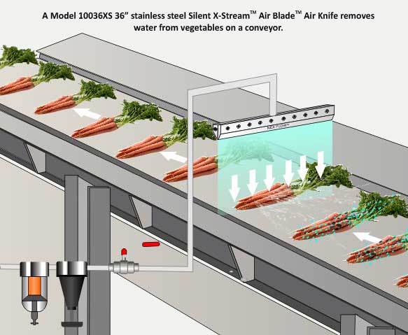 vegetable blowoff
